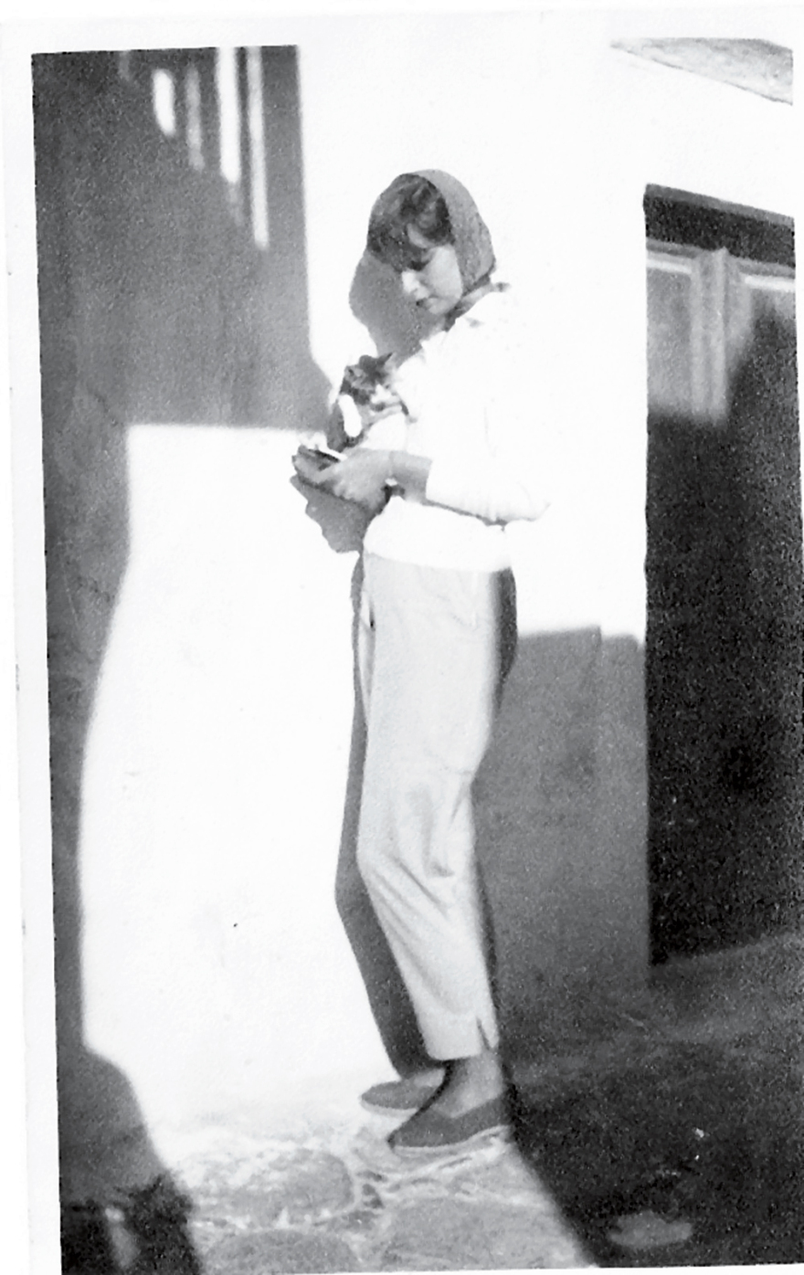 Θεόδωρος Πάγκαλος: Η μοναξιά του «El Toro»