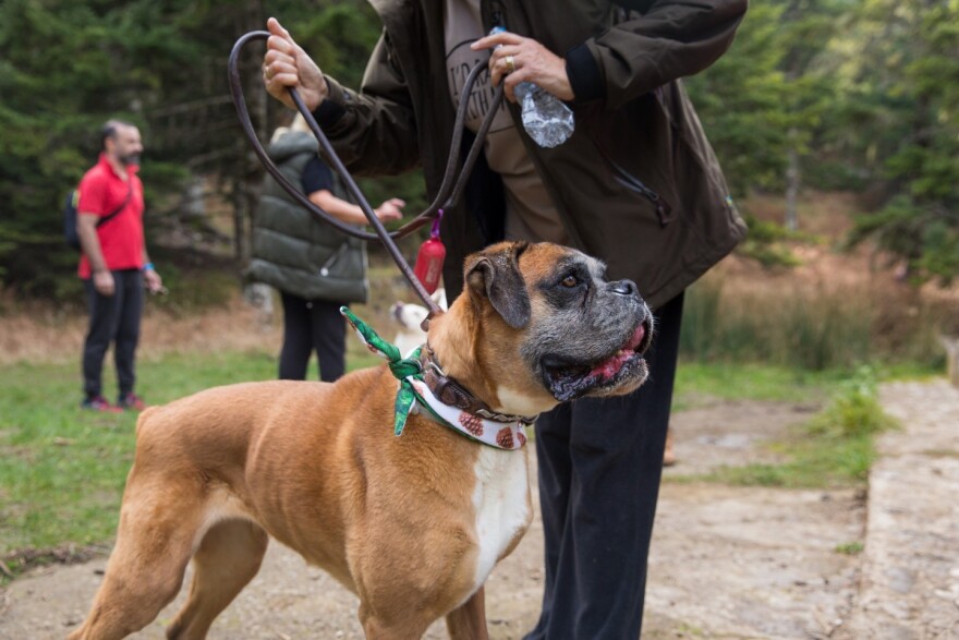 Dog Weekend στην καρδιά του Παρνασσού