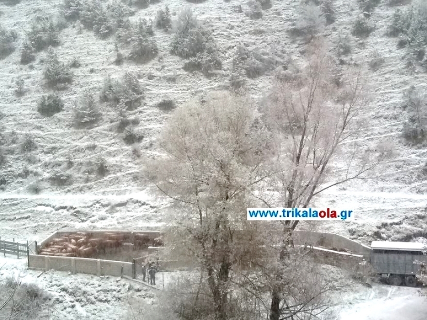 Με το πρώτο χιόνι ξύπνησαν οι κάτοικοι στα Τρίκαλα - «Το έστρωσε» για τα καλά το βράδυ