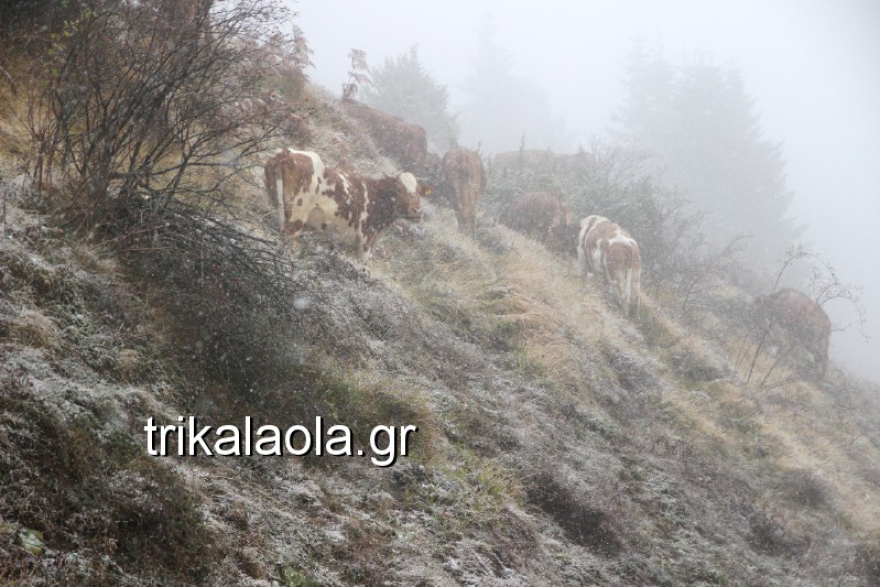 Καιρός - Έκτακτο δελτίο επιδείνωσης από την ΕΜΥ: Καταιγίδες, θυελλώδεις άνεμοι και χιόνι μέχρι την Κυριακή