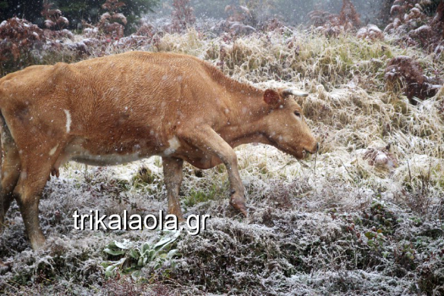 Καιρός - Έκτακτο δελτίο επιδείνωσης από την ΕΜΥ: Καταιγίδες, θυελλώδεις άνεμοι και χιόνι μέχρι την Κυριακή