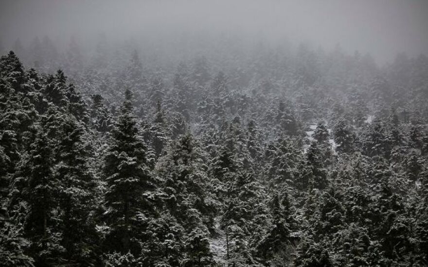 Καιρός: Στα «λευκά» η Ελλάδα – Πού «χτύπησε» ο χιονιάς