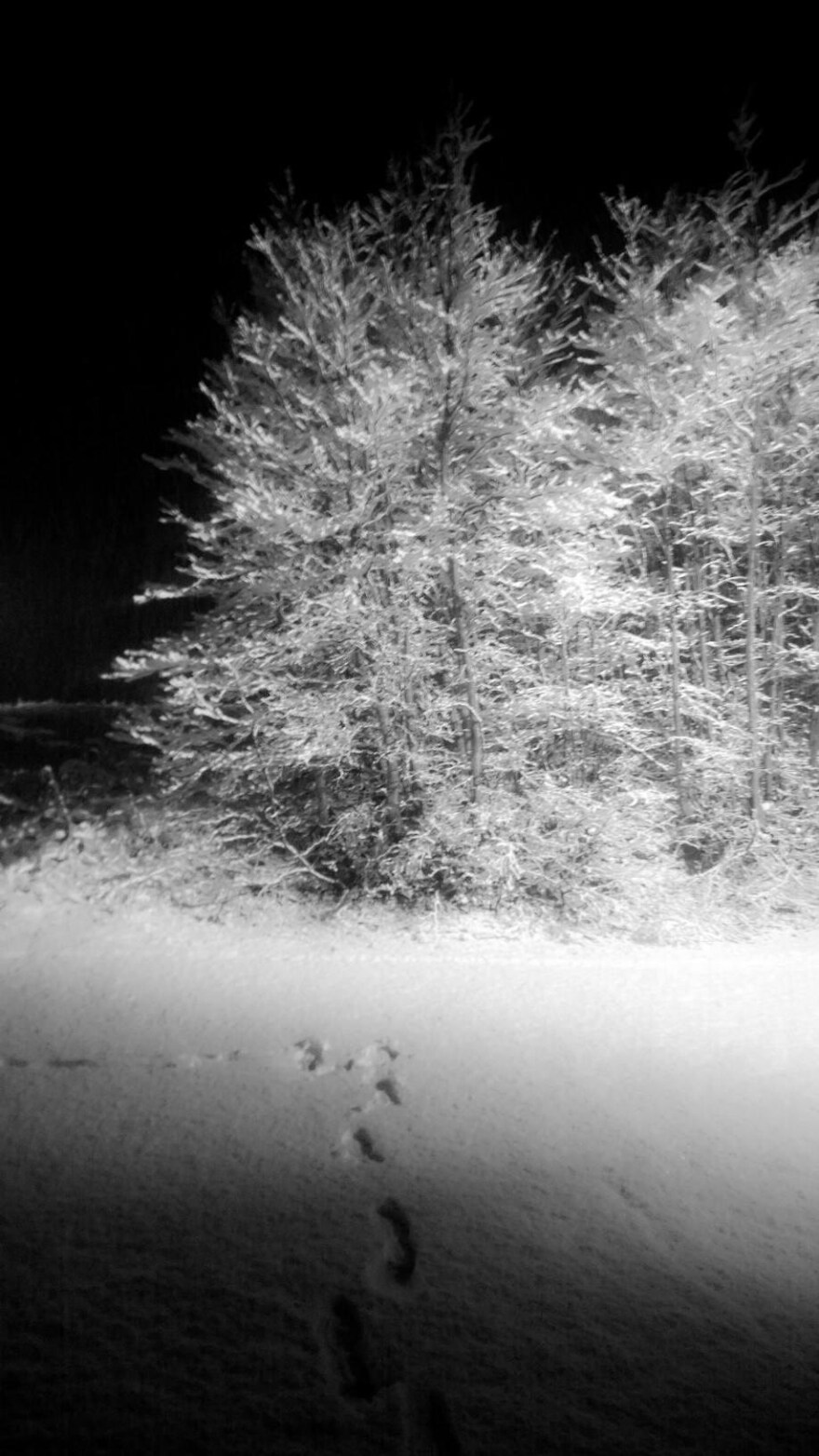 Καιρός: Στα «λευκά» η Ελλάδα – Πού «χτύπησε» ο χιονιάς