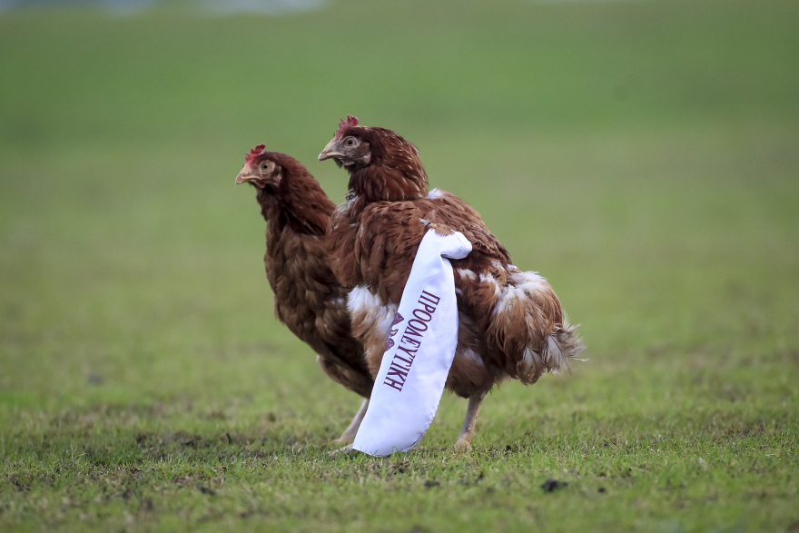 Ποια Μπόκα, ποια Ρίβερ; Δείτε σκηνές από το τοπικό ντέρμπι Ιωνικός-Προοδευτική