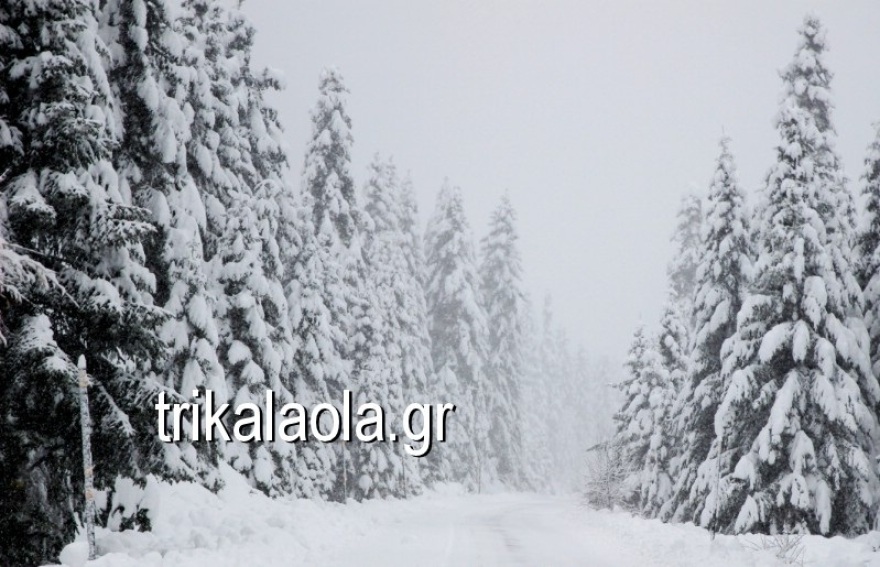 Βίντεο: Έντονη χιονόπτωση στο νομό Τρικάλων
