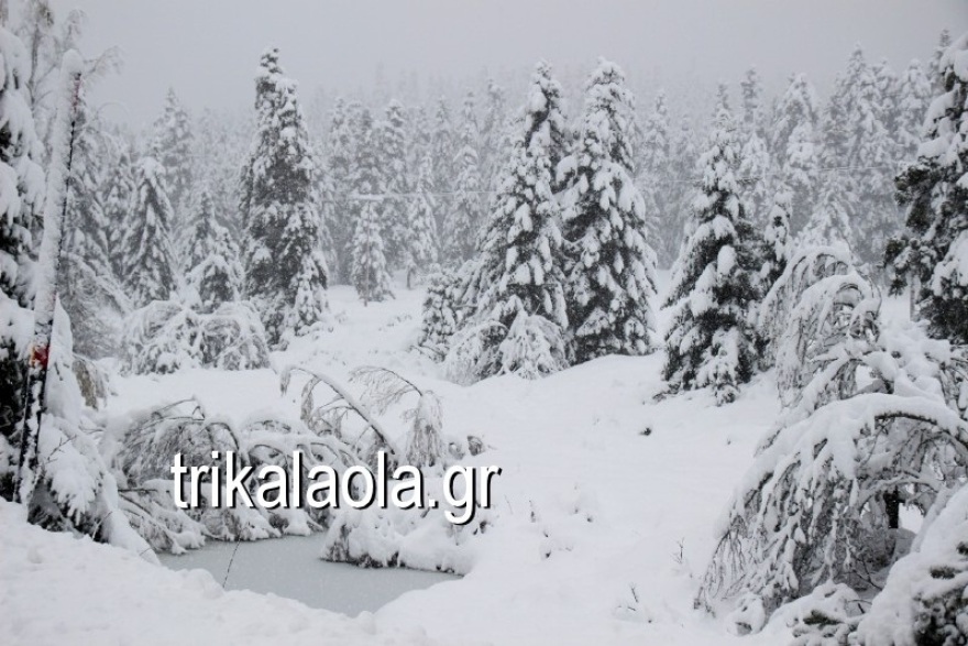 Βίντεο: Έντονη χιονόπτωση στο νομό Τρικάλων