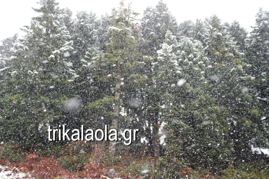 Βίντεο: Έντονη χιονόπτωση στο νομό Τρικάλων