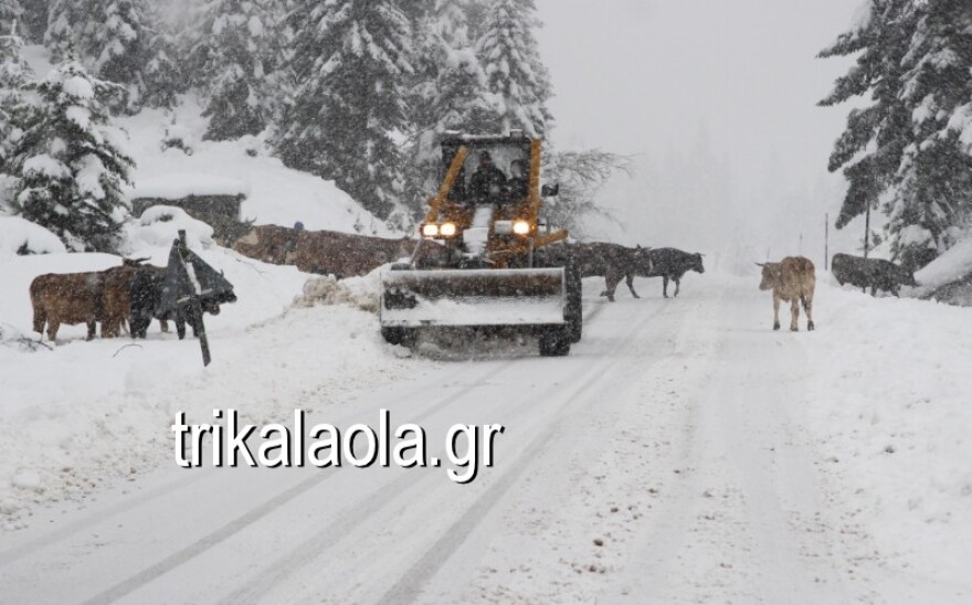 Βίντεο: Έντονη χιονόπτωση στο νομό Τρικάλων