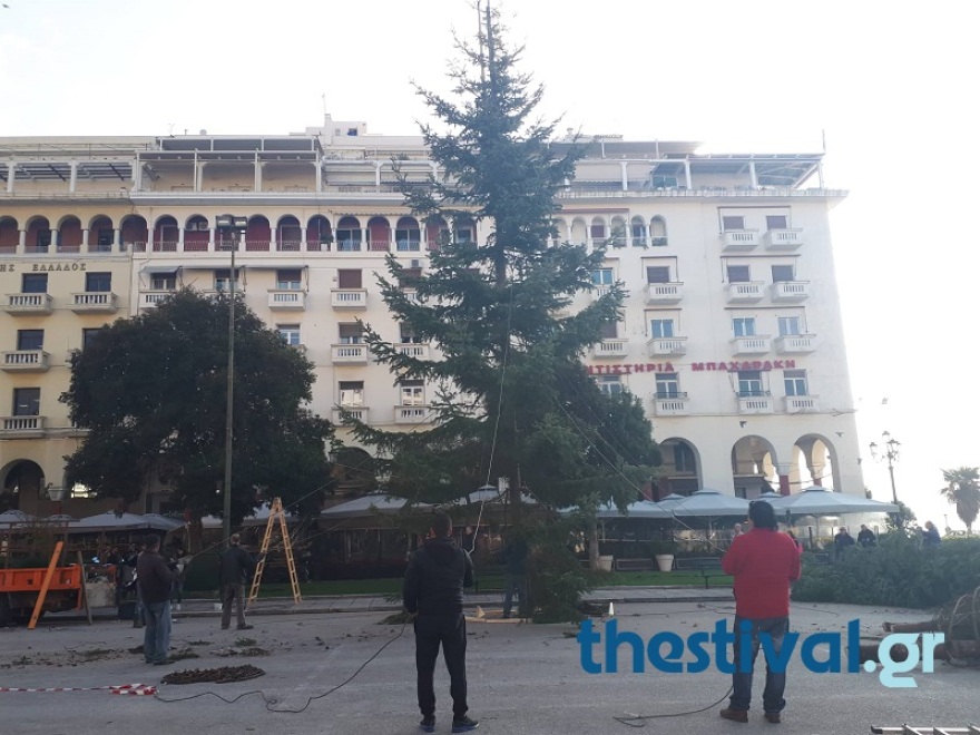 Θεσσαλονίκη: Στήθηκε το χριστουγεννιάτικο έλατο στην πλατεία Αριστοτέλους