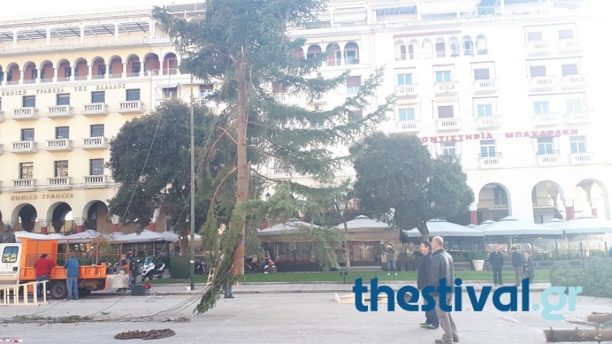 Θεσσαλονίκη: Στήθηκε το χριστουγεννιάτικο έλατο στην πλατεία Αριστοτέλους