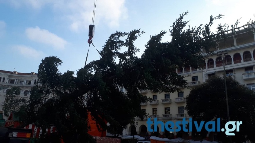 Θεσσαλονίκη: Στήθηκε το χριστουγεννιάτικο έλατο στην πλατεία Αριστοτέλους