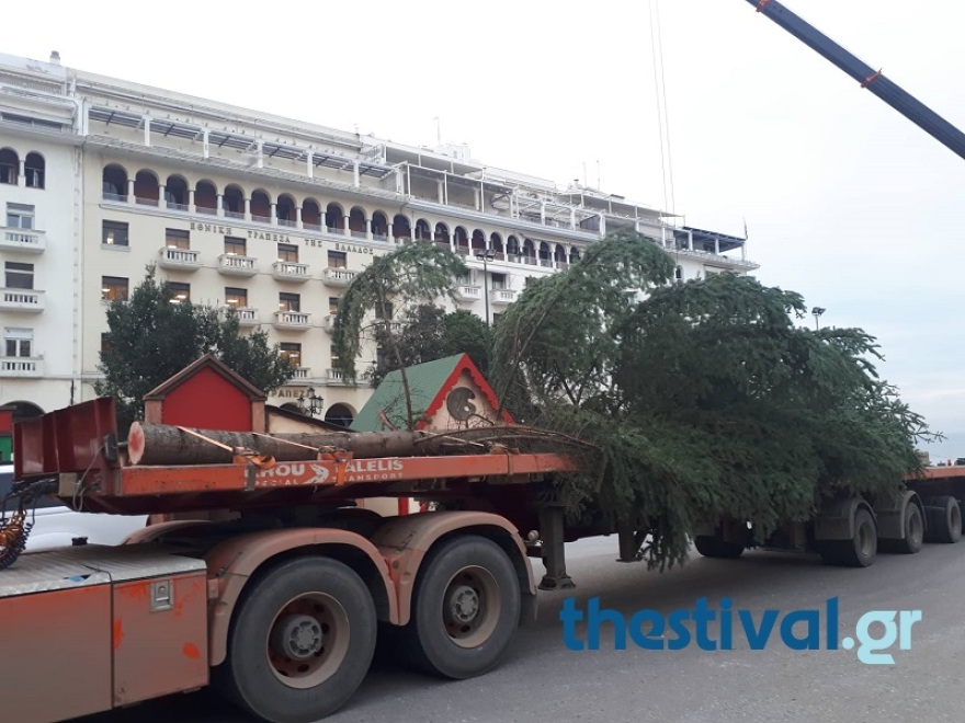 Θεσσαλονίκη: Στήθηκε το χριστουγεννιάτικο έλατο στην πλατεία Αριστοτέλους