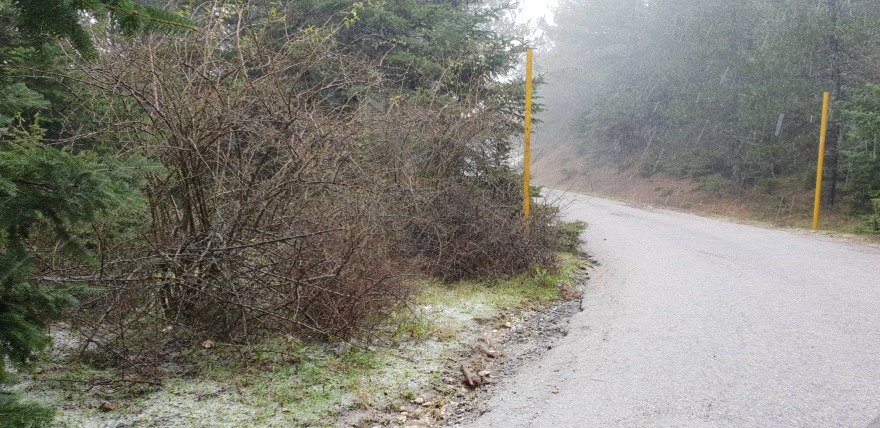 Κακοκαιρία και στην Αττική: Χιονίζει στην Πάρνηθα