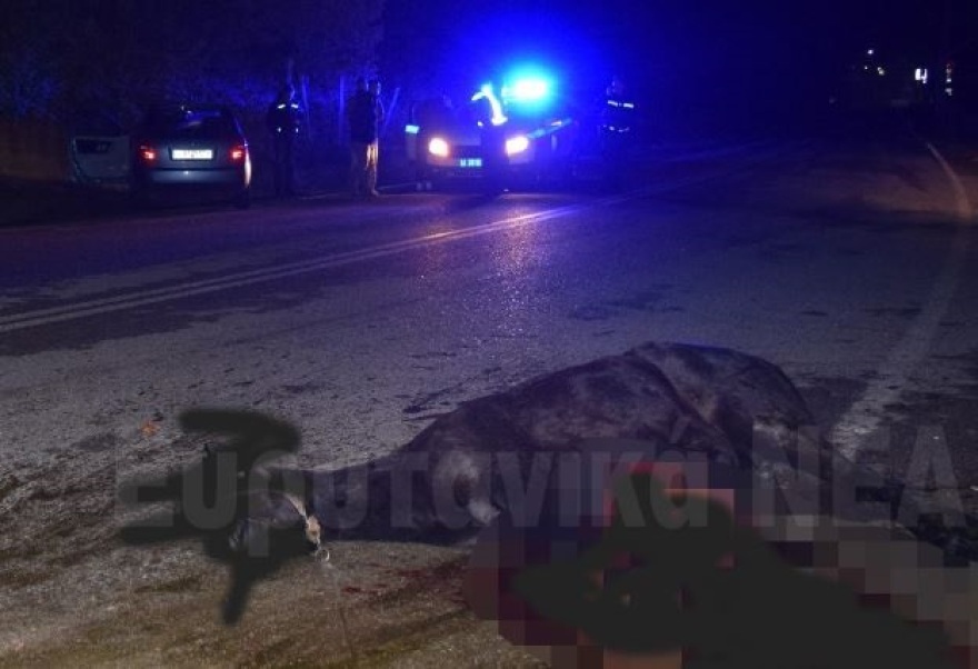 Αυτοκίνητο τράκαρε με άλογο στο Καρπενήσι