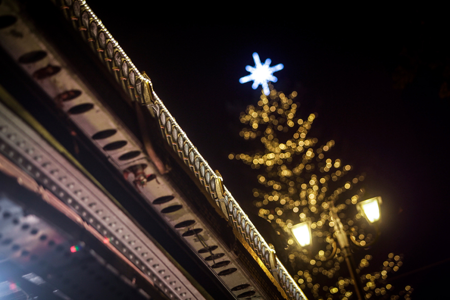 «Έφτασαν» τα Χριστούγεννα στα Τρίκαλα: Φωταγωγήθηκε το ψηλότερο φυσικό δέντρο στην Ελλάδα