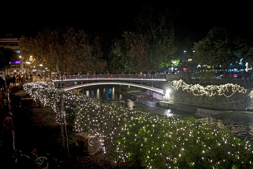 «Έφτασαν» τα Χριστούγεννα στα Τρίκαλα: Φωταγωγήθηκε το ψηλότερο φυσικό δέντρο στην Ελλάδα