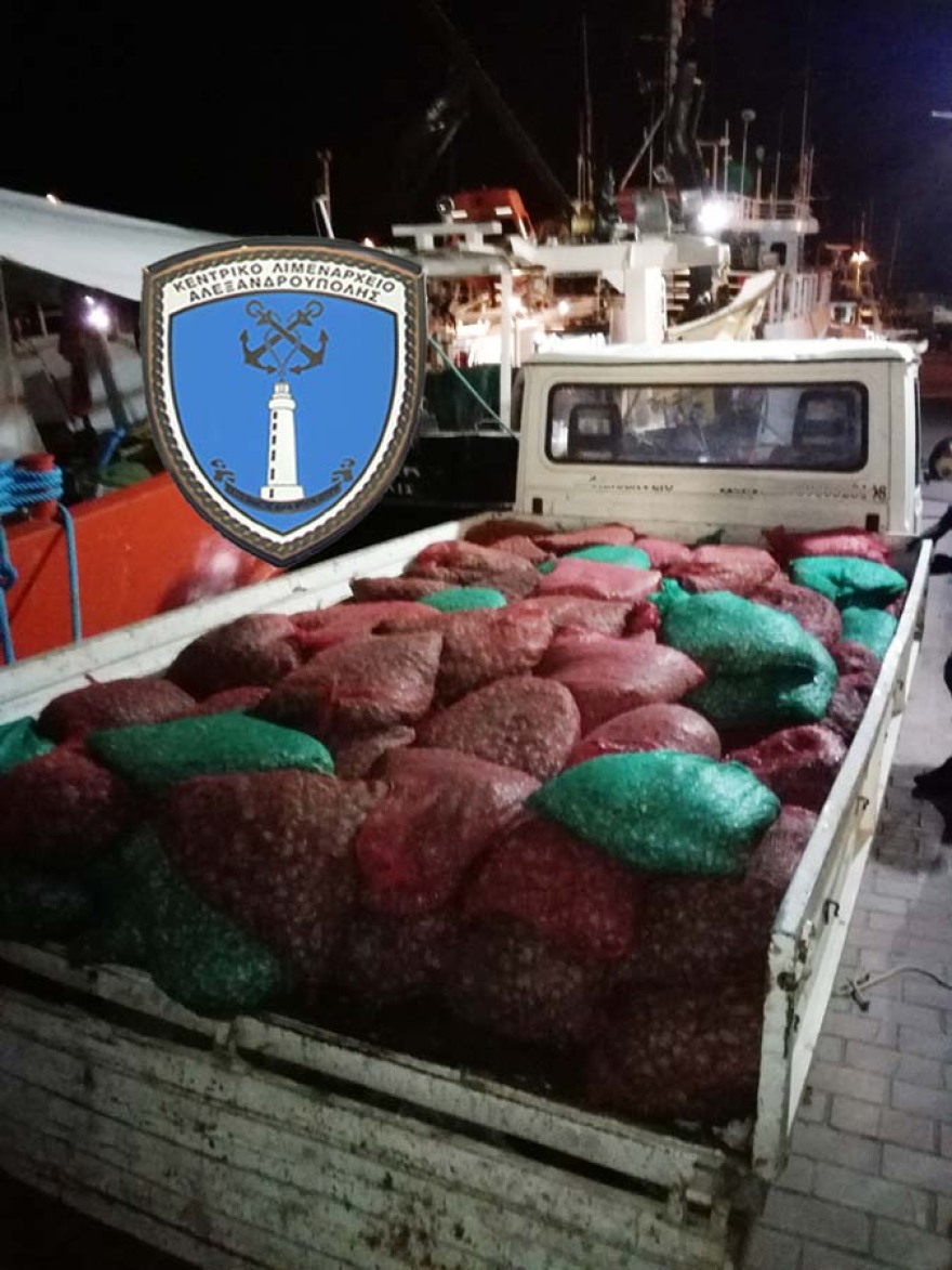 Δύο τόνοι ακατάλληλα όστρακα στην Αλεξανδρούπολη