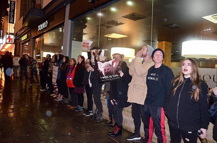 Βρετανία: Vegan ακτιβίστρια για τα δικαιώματα των ζώων... κόρη εκατομμυριούχου κρεατέμπορα