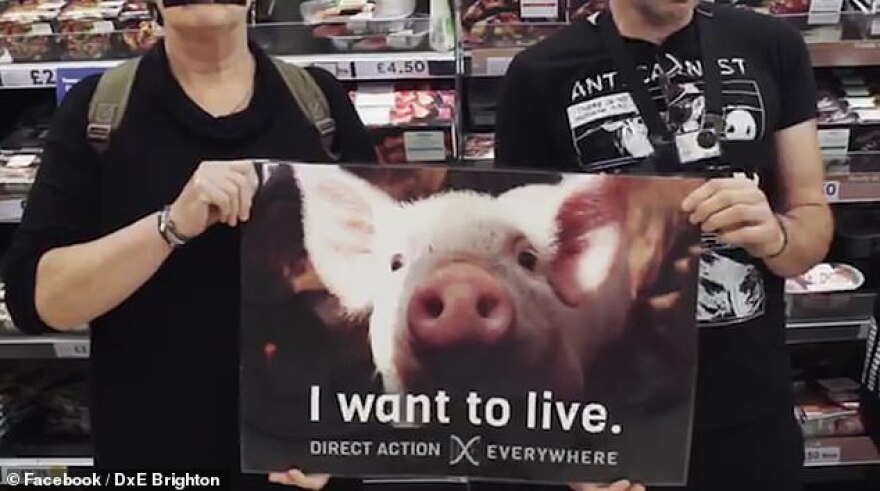 Βρετανία: Vegan ακτιβίστρια για τα δικαιώματα των ζώων... κόρη εκατομμυριούχου κρεατέμπορα