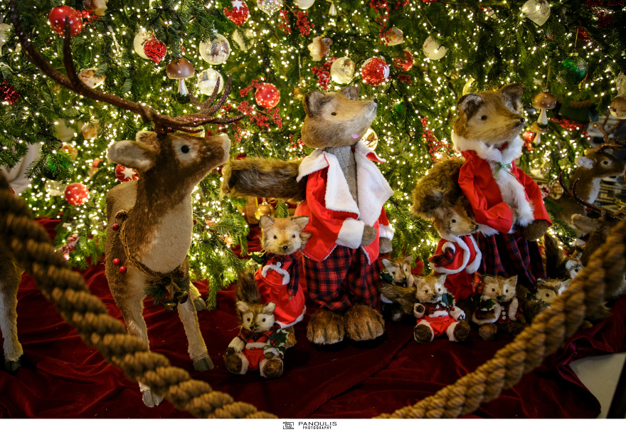 Η «Μεγάλη Βρεταννία» φόρεσε τα γιορτινά της - Λαμπερή η φωταγώγηση του χριστουγεννιάτικου δέντρου