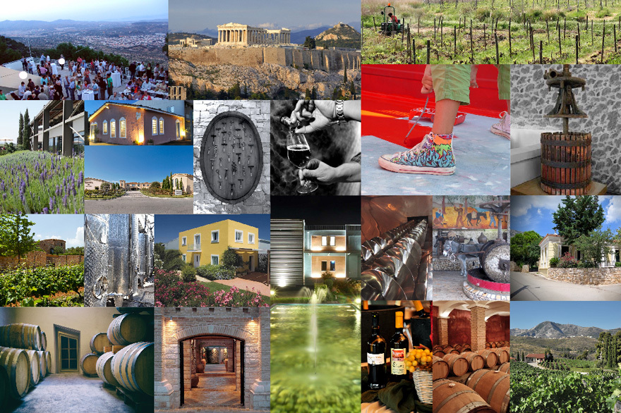 Οι 24 του Αττικού Αμπελώνα