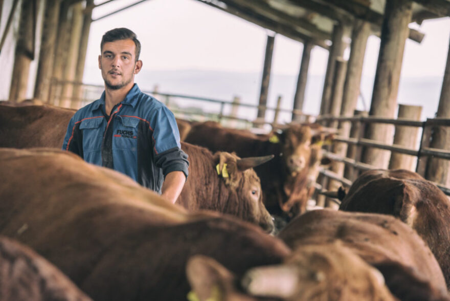  Hμερολόγιο για το 2019 έβγαλαν oι νέοι αγρότες από τη Σκοπιά Λάρισας 