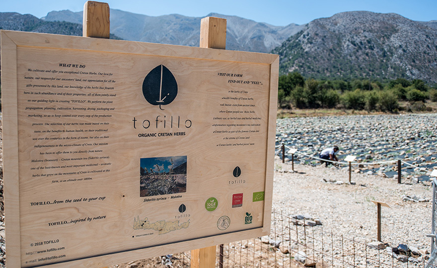 Καλλιέργεια Μαλοτήρας «με πτυχίο» !