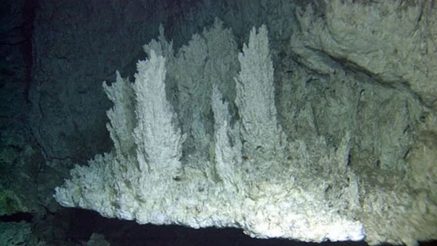 Η Γη αποκαλύπτει τα μυστικά της: Η «βαθιά ζωή» στη βιόσφαιρα του πλανήτη