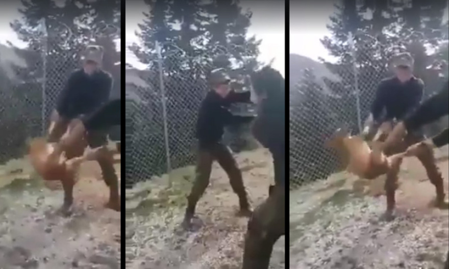 Καταδικάστηκαν οι νεαροί που είχαν κακοποιήσει σκύλο όταν ήταν φαντάροι