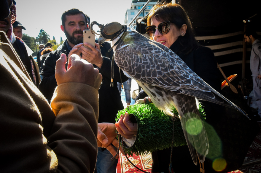 Φωτογραφίες: Η έρημος του Κατάρ «μετακόμισε» στο Σύνταγμα