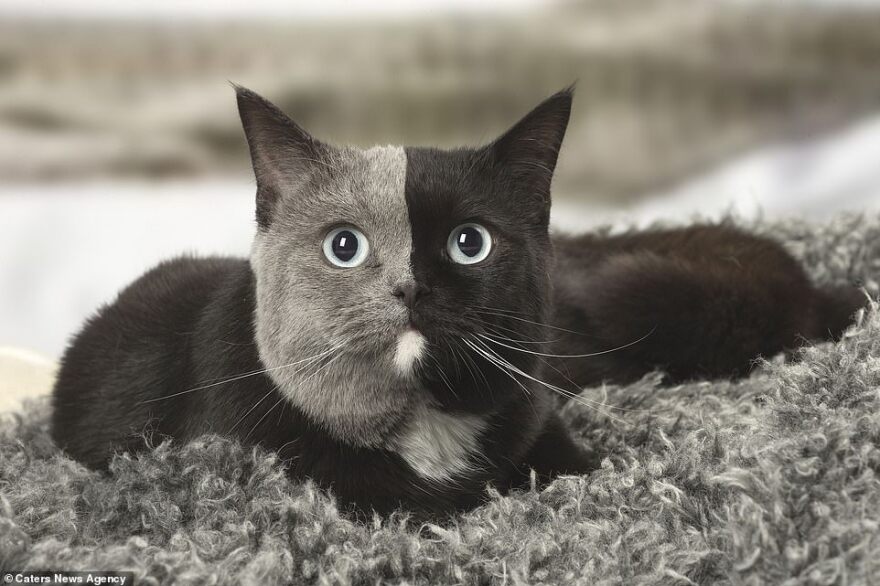 Η μαγεία της φύσης μέσα από 10 απίθανες φωτογραφίες