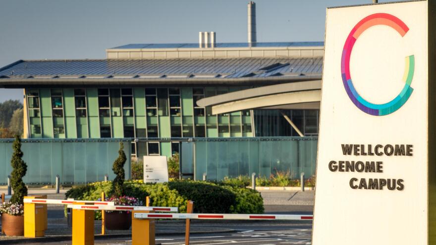 Θεραπεία λευχαιμίας με «κολλύριο» που ανακάλυψε η ελληνική dream team του Cambridge!