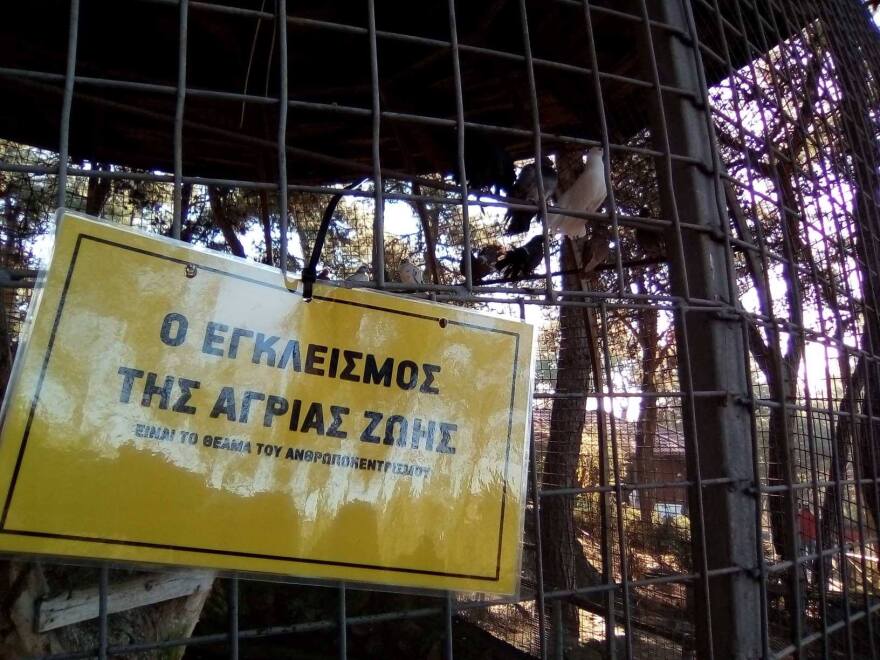 Διαμαρτυρία αναρχικών στον ζωολογικό κήπο Θεσσαλονίκης