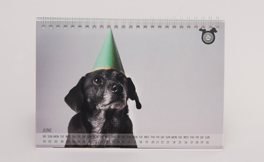 Μια καλή πράξη για τα αδέσποτα!