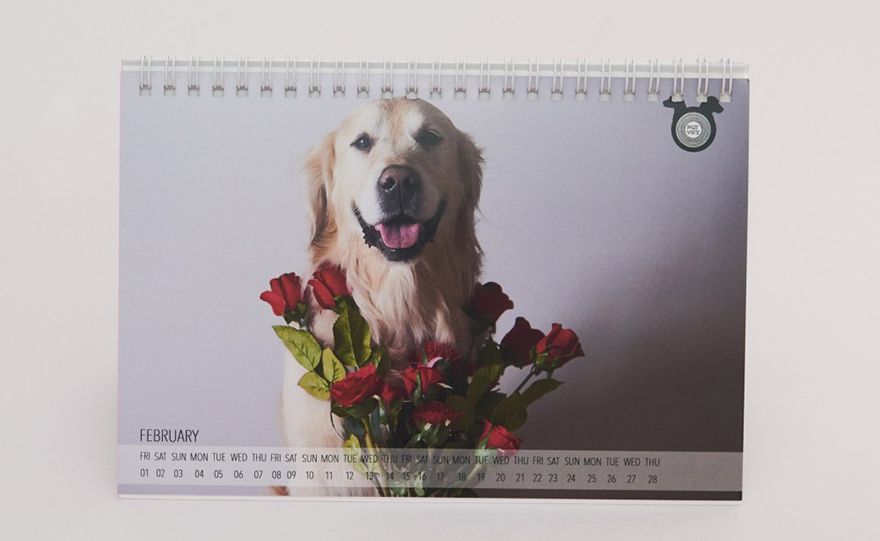 Μια καλή πράξη για τα αδέσποτα!