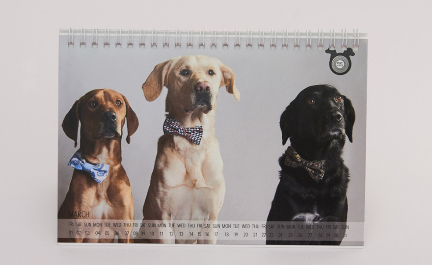 Μια καλή πράξη για τα αδέσποτα!