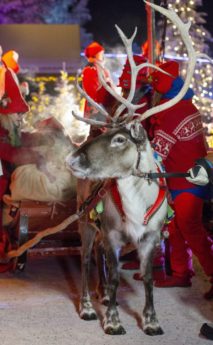 Φωτογραφίες: Ξεκίνησε το ταξίδι του Άγιου Βασίλη