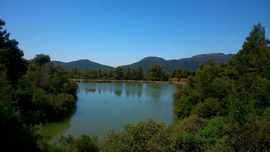 «Ιπποκράτειος Πολιτεία»: Σκάνδαλο με παράνομες μεταβιβάσεις περιουσιακών στοιχείων του συνεταιρισμού 