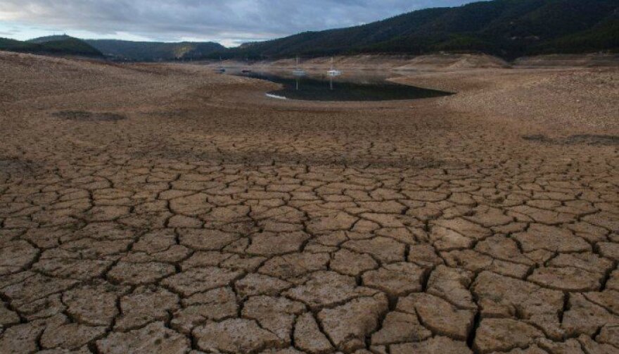 Η άνοιξη ήρθε πολύ νωρίς φέτος και αυτό δεν είναι καλό - Οι επιπτώσεις του σύντομου χειμώνα