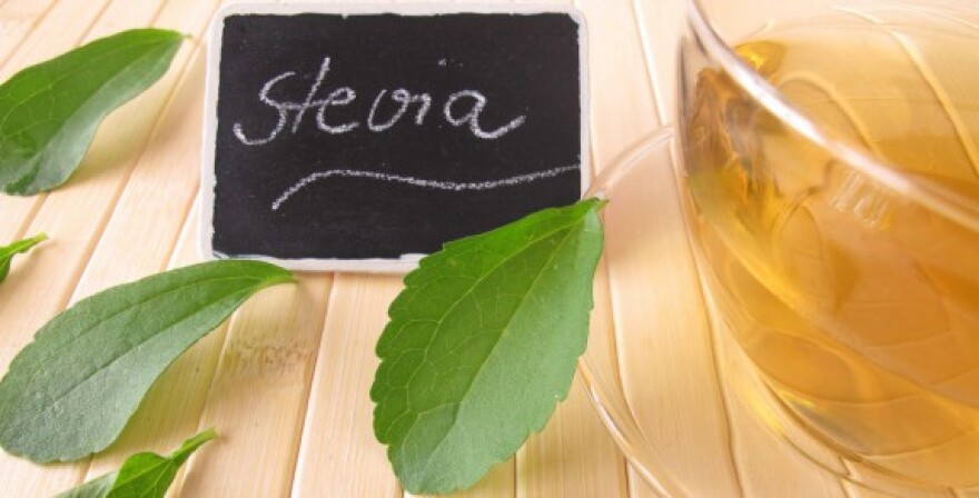 La Mia Stevia: Ένα επιτυχημένο πείραμα