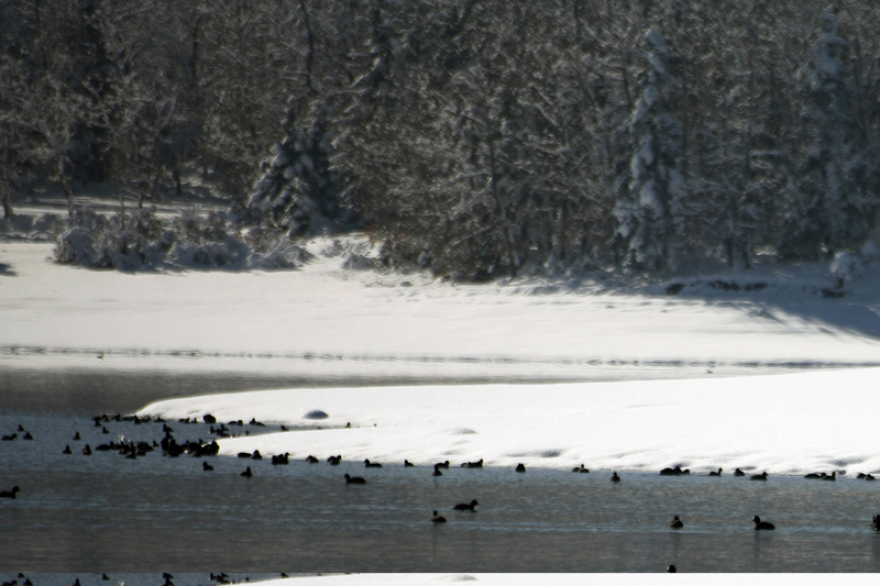 Η «Σοφία» έφτασε με χιόνια και θυελλώδεις ανέμους - Δείτε χάρτες