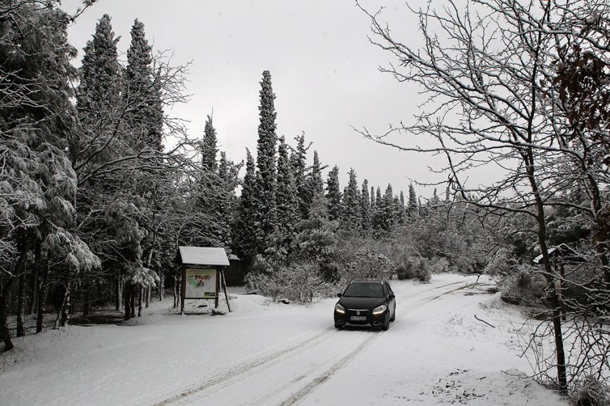 Καιρός: Αγριεύει κι άλλο η «Σοφία» - Νέο έκτακτο δελτίο της ΕΜΥ - Πού έχει διακοπεί η κυκλοφορία