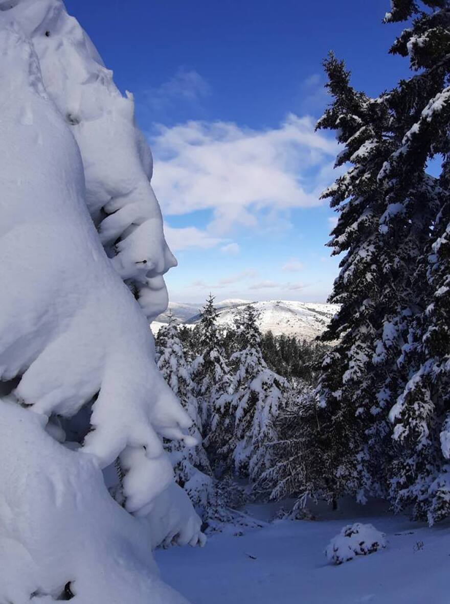 Καιρός: Η «Σοφία» έφερε χιόνια και ψύχος - Πότε αναμένεται το επόμενο κύμα κακοκαιρίας