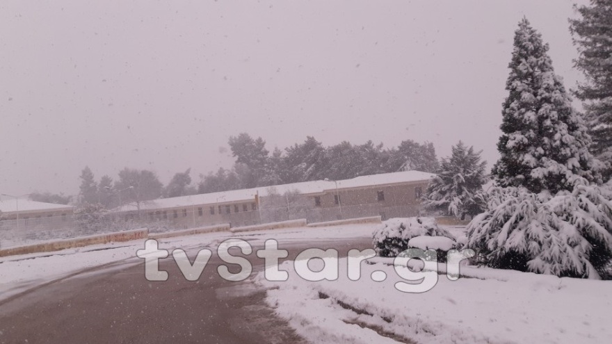 Σφοδρή χιονόπτωση στην Φθιώτιδα από το Μαρτίνο μέχρι την Ανθήλη