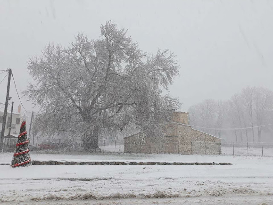 Καιρός: Ο «Τηλέμαχος» έφτασε στην Εύβοια - Χιονίζει από το πρωί