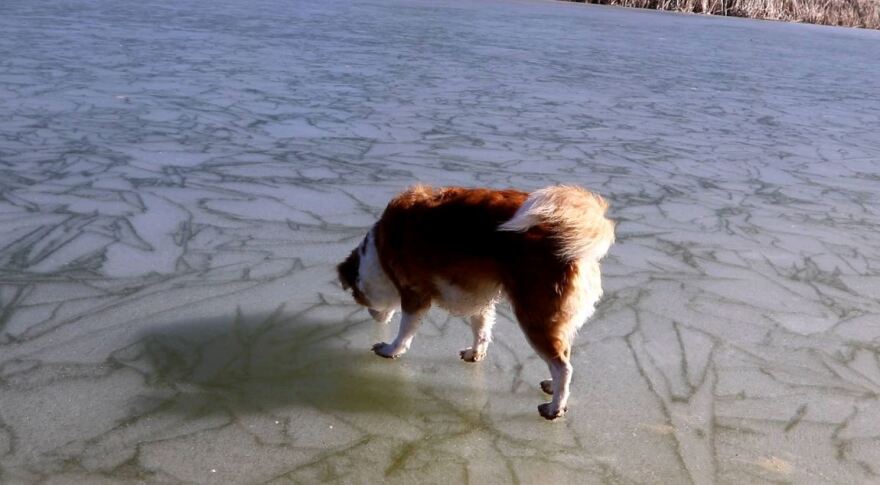 Κακοκαιρία «Τηλέμαχος»: Σφοδρή χιονόπτωση στην Εύβοια - Χιόνια μέχρι την Κρήτη