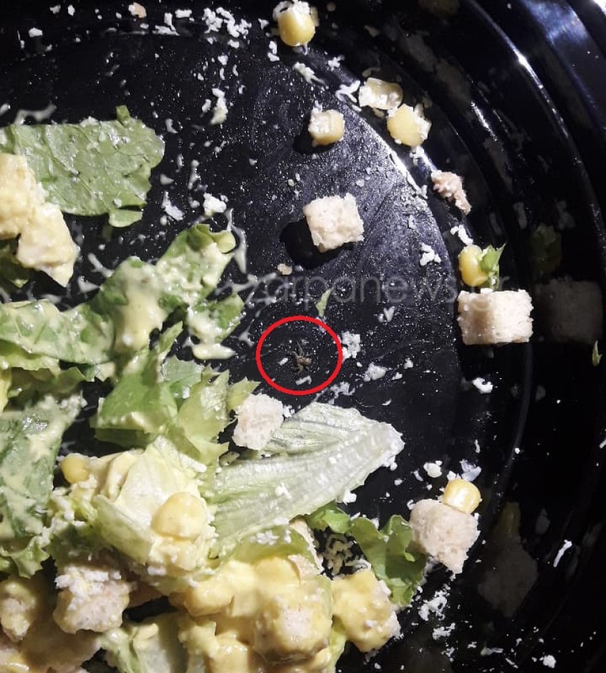 Χανιά: Σαλάτα με... αράχνη σε σουβλατζίδικο!