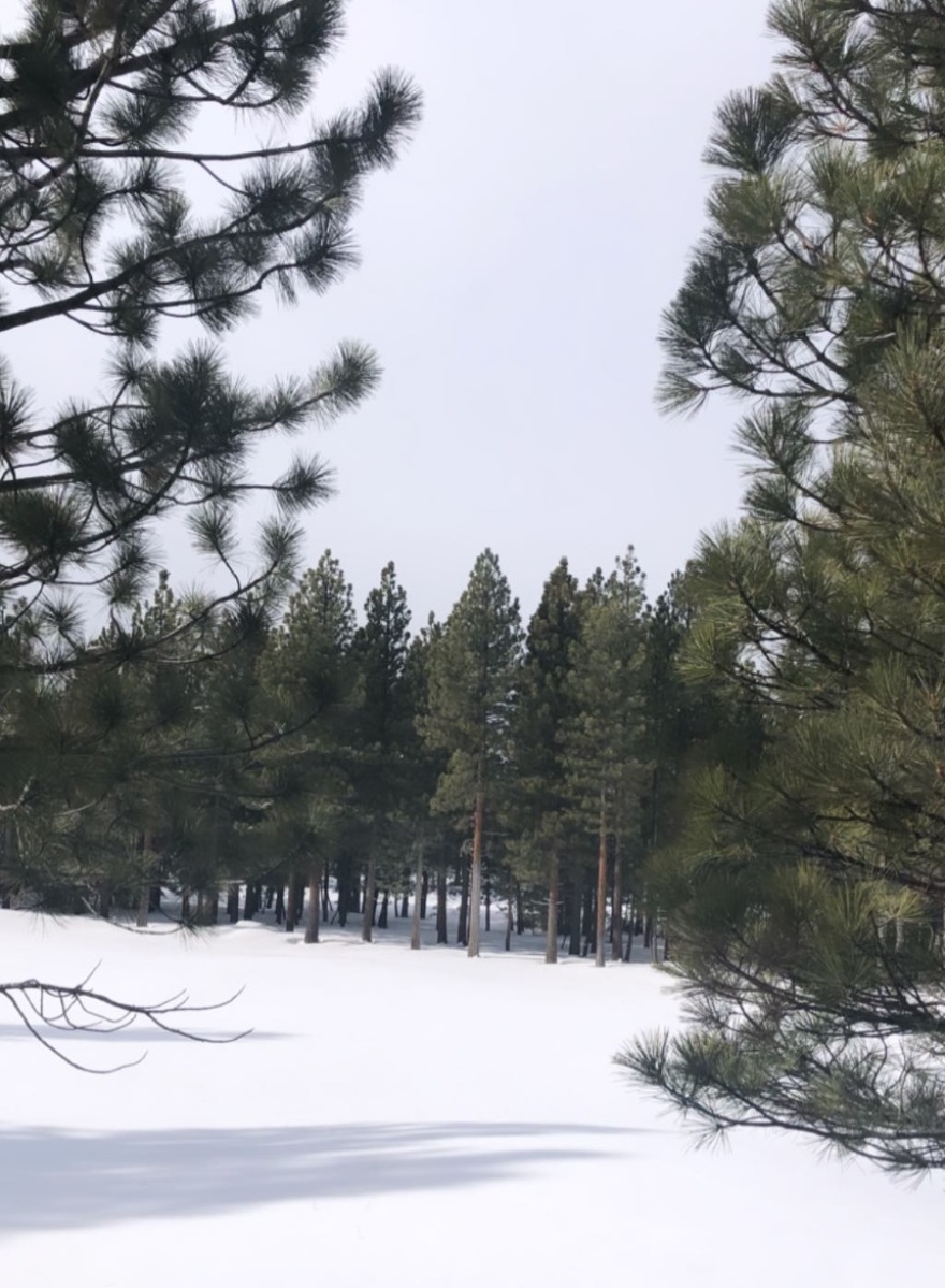 Απόδραση στα χιόνια για τις αδερφές Kardashian και Jenner