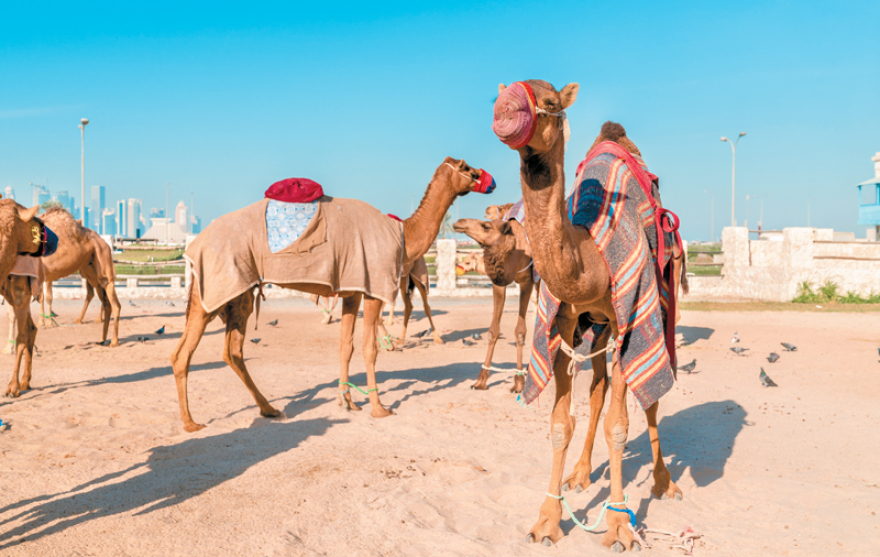 Κατάρ: Είναι χλιδή στην άμμο  να χτίζεις παλάτια