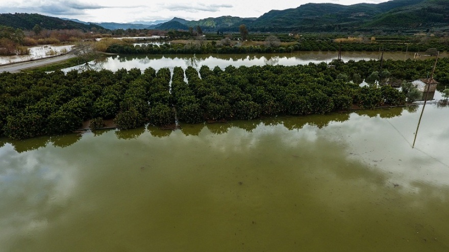 Πλημμύρισε ο Αλφειός – Καταστράφηκαν καλλιέργειες